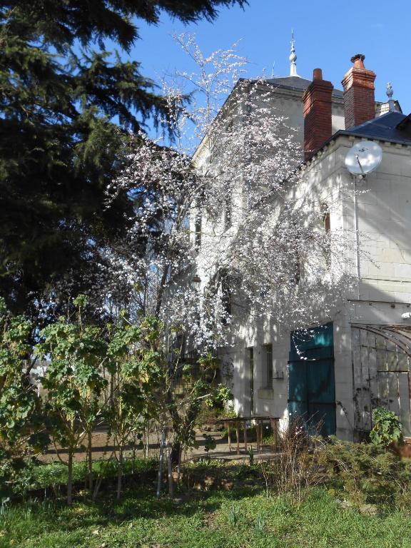 Clos Du Bois Brard B&B Saumur Exterior foto