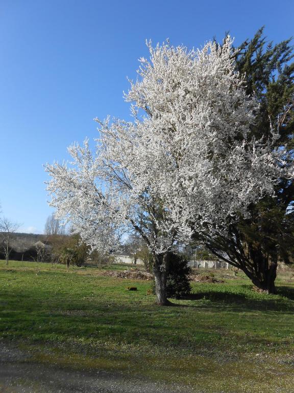 Clos Du Bois Brard B&B Saumur Exterior foto